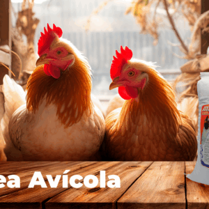 Línea Avícola