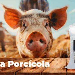 Línea Porcícola