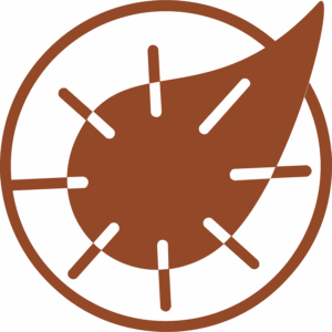 Antisépticos y Desinfectantes